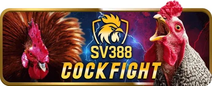 Hoàn trả cược đá gà hàng ngày f789 win